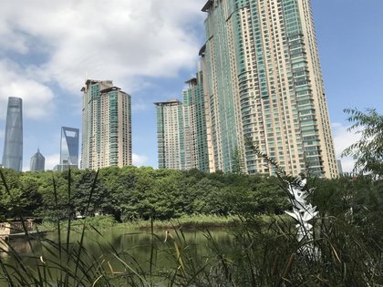 世茂滨江花园(南区)
