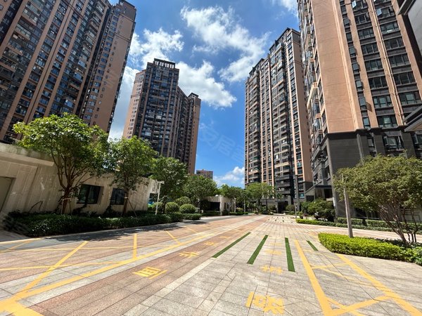 深圳龙岗坂田大族云峰二期新上实拍,全新精装修,朝南看花园景观好