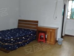 海口龙华海垦苍西村价格优惠光线好出租房源真实图片