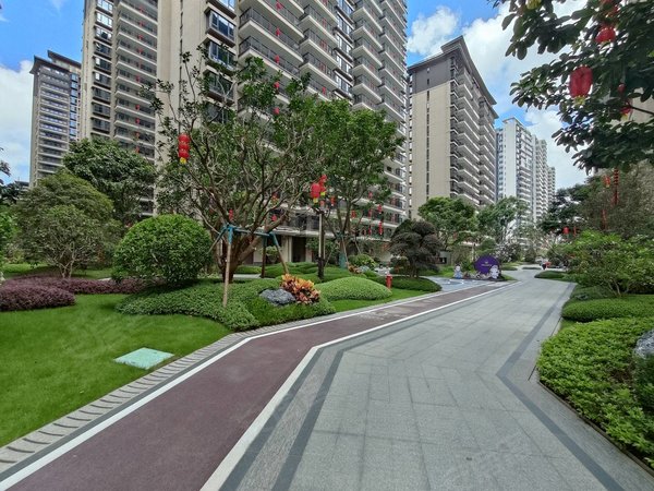 南宁良庆良庆周边荣和五象学府(北区)有车位  全新家具家电  精装大