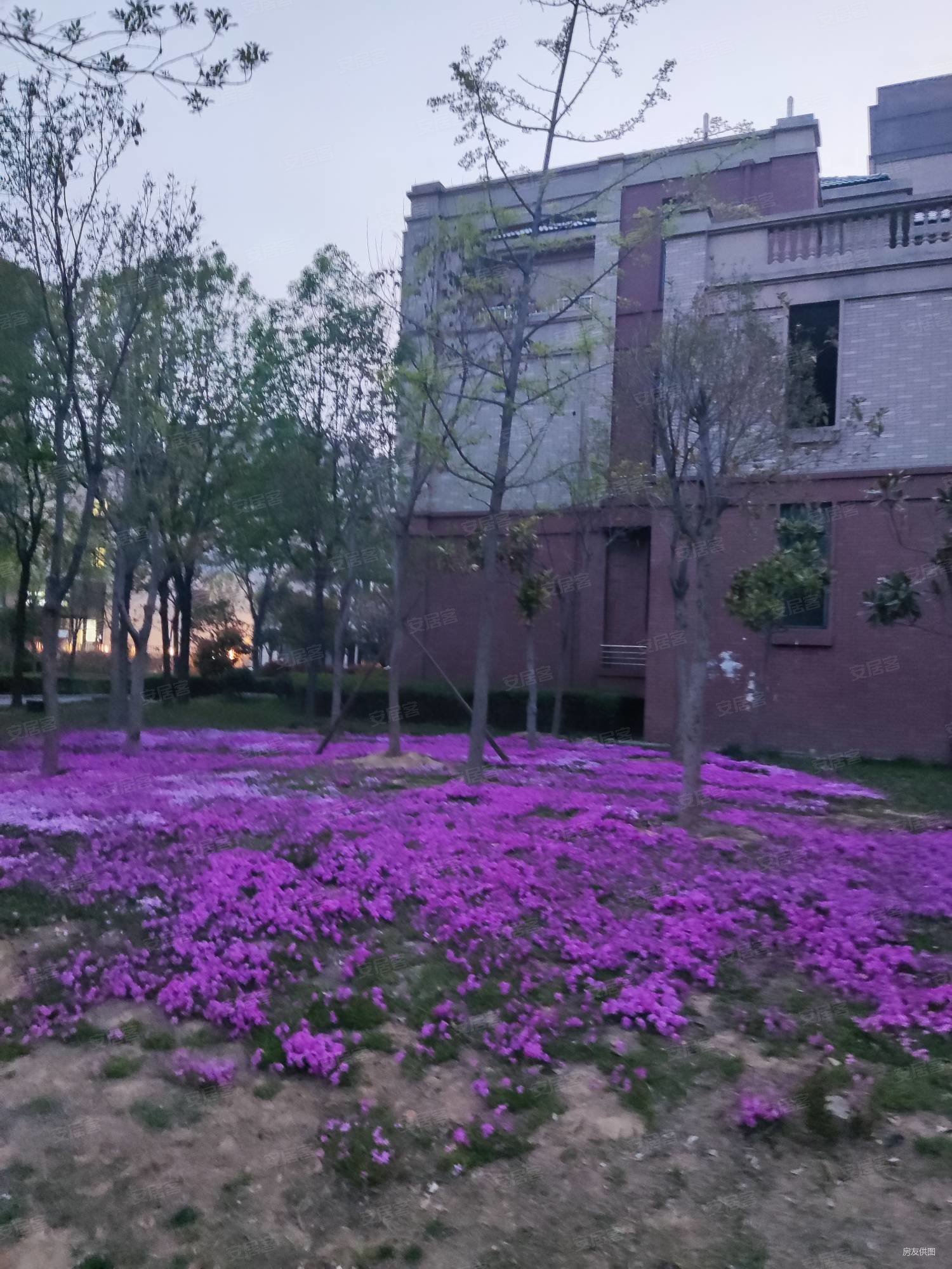 启福尚都公务员小区电梯洋房大平层出售