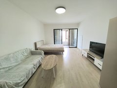 兰州新区中川园区东航金城印象精装一室家具家电齐全拎包入住出租房源真实图片