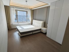 合肥瑶海铜陵路本人真实实拍 豪华装修 楼下龙湖网红街区 带泳池中央空调出租房源真实图片