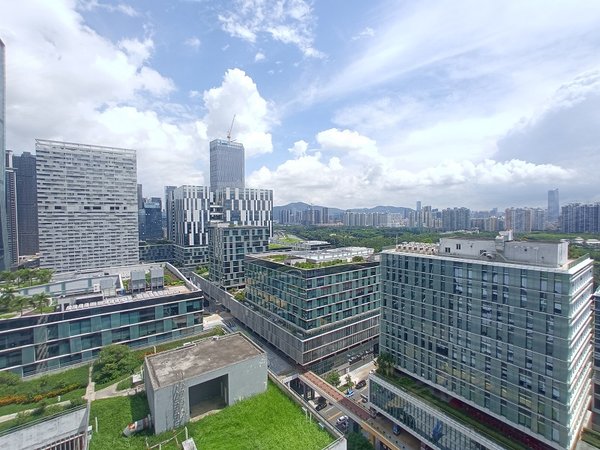 深圳湾科技生态园解封图片