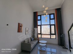 蚌埠蚌山新城区奥园复式公寓！边户实拍房源！随时看房出租房源真实图片