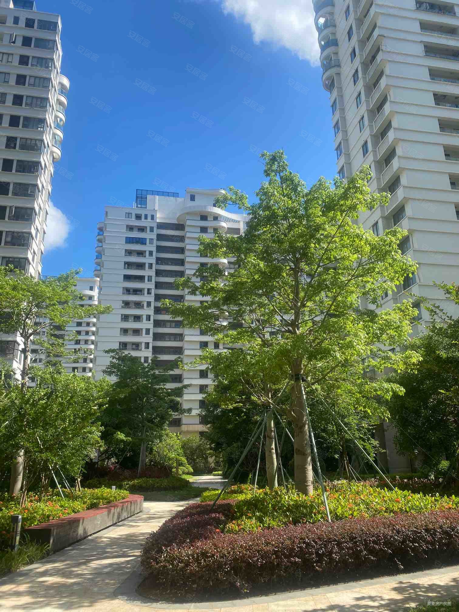 大东湖悦海湾2室2厅1卫98㎡南106万