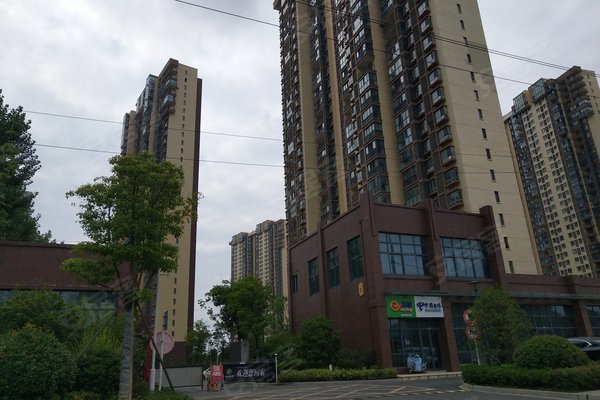 仙林国际花园优点,不足,南京仙林国际花园怎么样,仙林国际花园周边