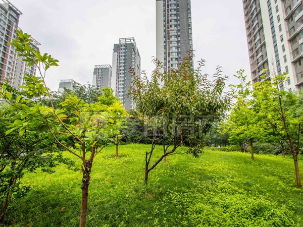 头次出租 国风上观三居室南北通透 装修好 随时起租,朝阳租房-北京58