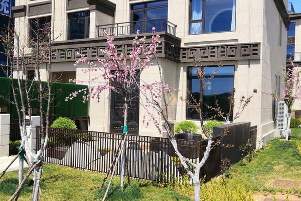 御河尚院(别墅)怎么样,御河尚院(别墅)周边房产中介经纪人评价-大连