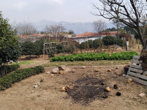 青岛崂山沙子口西登瀛村自建房崂山沙子口西登瀛村,生态园,占地10亩
