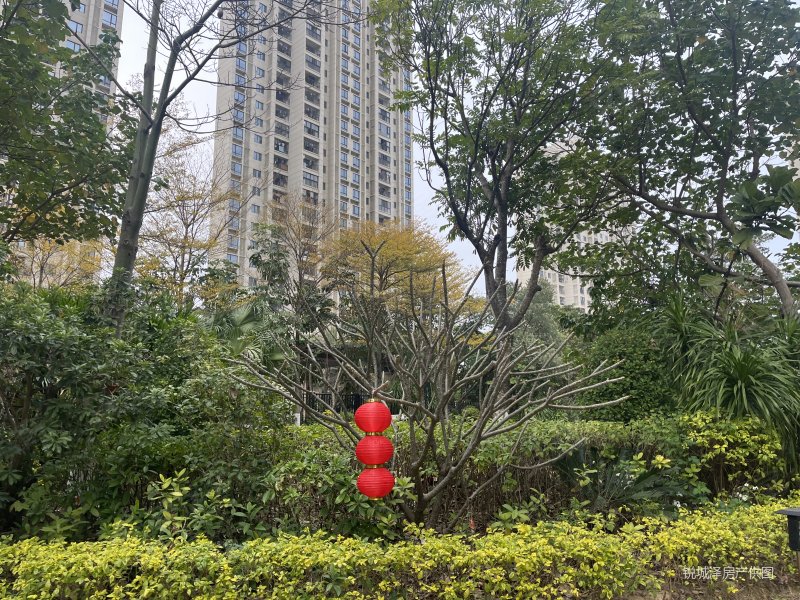中海万锦熙岸 安静楼栋 东边套户型 二次装修 房子保养好