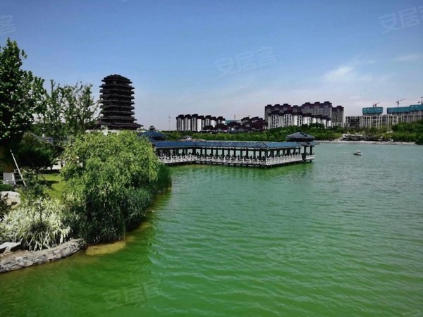 淄博张店政务中心恒大帝景(商住楼)实拍图押一付一恒大帝景精装公寓