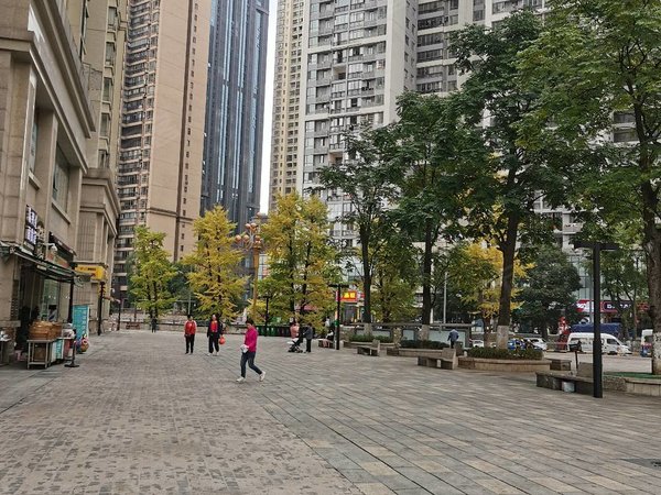 贵阳南明花果园花果园r区(商住楼)财富广场精装60大公寓半年租1199包