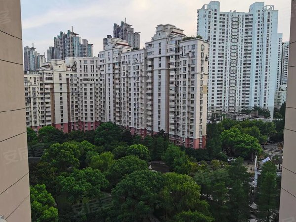 上海浦东陆家嘴菊园保.真!实房实价!低价急租,要求长租!本人实拍!