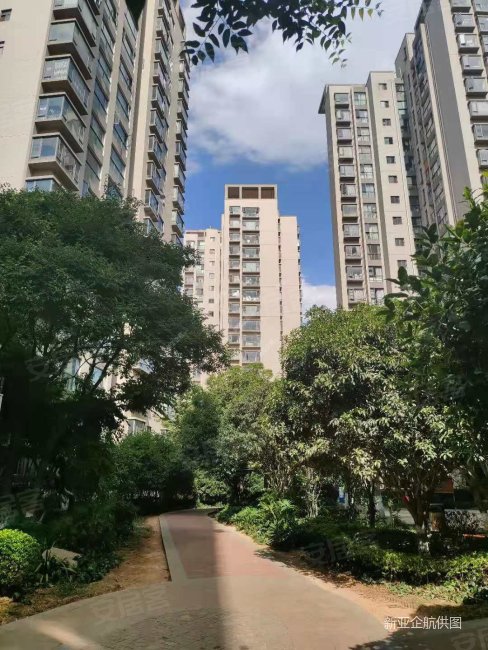 693平9楼2房高新区预约看房东南西府景苑110万精装