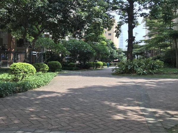 广州花都狮岭狮城国际干净整齐 狮城国际 东南向 2房2厅 拧包入住出租