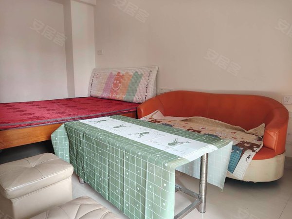 多套宝龙公寓 精装单身公寓 高楼层,大阳台,押一付一 家具全