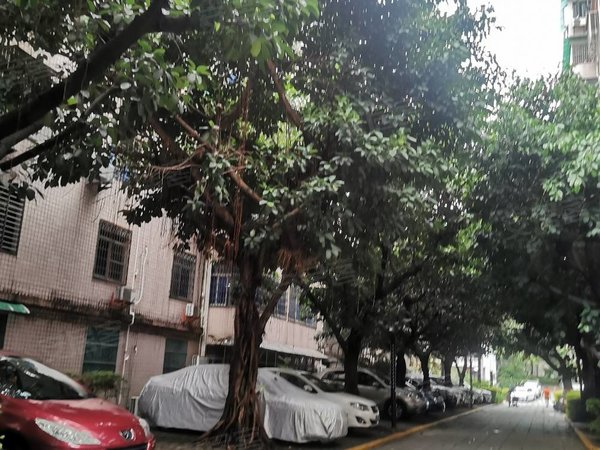 环岛路珍珠湾花园清新三房适合年轻人合可长短租,思明租房-厦门58安居