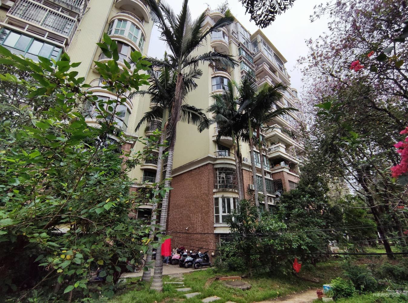 柳北金水岸15中江景电梯楼中楼带20平露台150万