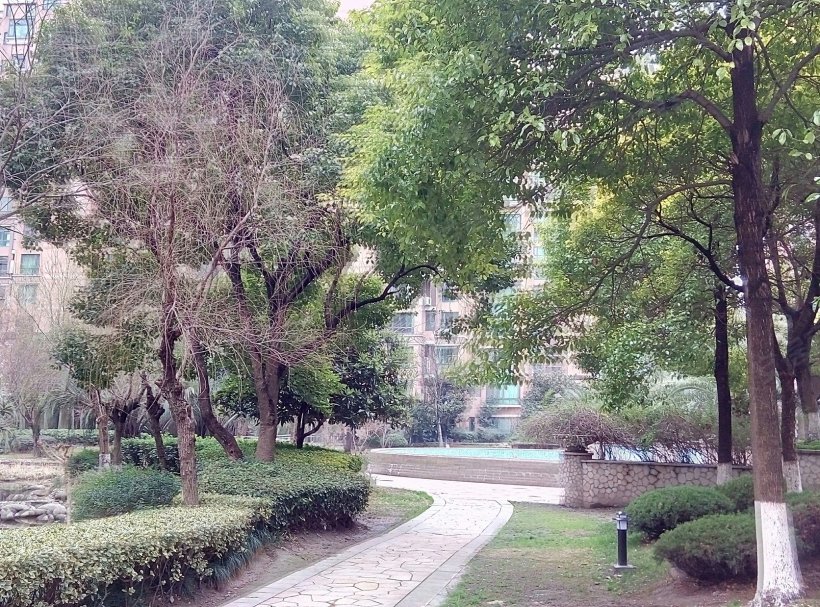 上海 绿洲香岛花园小区照片 - 安居客