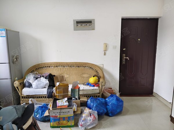 福州鼓楼西二环后县新苑近总院 后县新苑 单身公寓 厅卧分离 全明户型