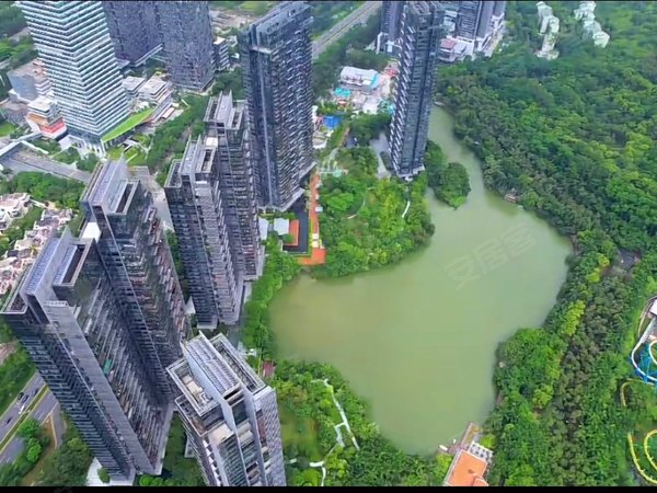 【多图】新天鹅堡(一二期),华侨城租房,天鹅湖全新豪装 初次放租 客厅