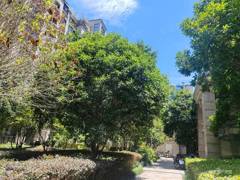 青林湾三期纯洋房小区,顶加阁,精装修,保养好,利用空间多