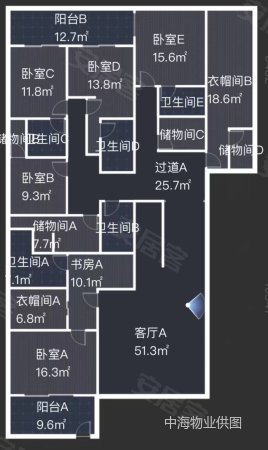 中海紫御豪庭(三期公寓住宅)9室3厅5卫593.69㎡南北2500万