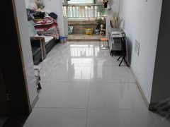 阳谷狮子楼街道狮子楼金紫南苑电梯两室两厅 家具家电齐全 拎包入住出租房源真实图片