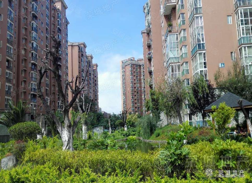 世纪城茗春苑小区3室1610平售房