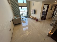 东莞塘厦老区星河时代(商住楼) 3室2厅2卫  电梯房 54平米出租房源真实图片