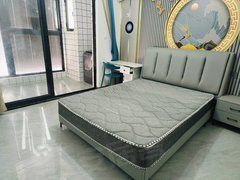 常州金坛东城新城萃隽朝南独立卫拎包入住压一付一出租房源真实图片