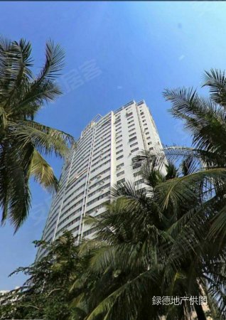 海秀路 金桥大厦 精装大三房 带阳台 中间楼层 采光好