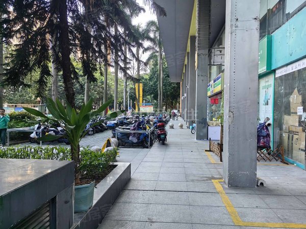 南宁青秀民族广场阳光100城市广场民族大道上 阳光100 两房一厅2200可