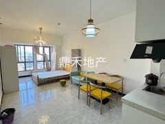 昆明嵩明嵩明城区俊发空港城1室1厅1厨1卫家具家电齐全800包物业出租出租房源真实图片