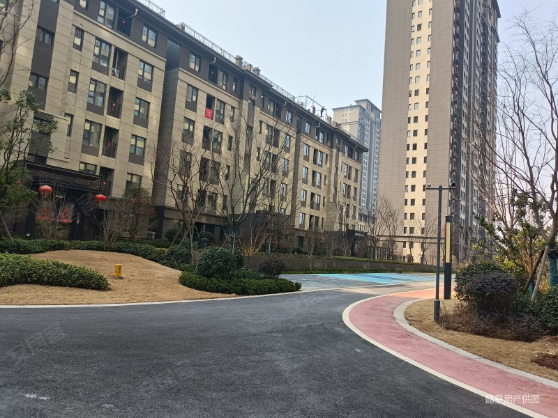 南北通透 小区新 居住密度低 钥匙房 产权清晰 双卫生间,正商城二手房