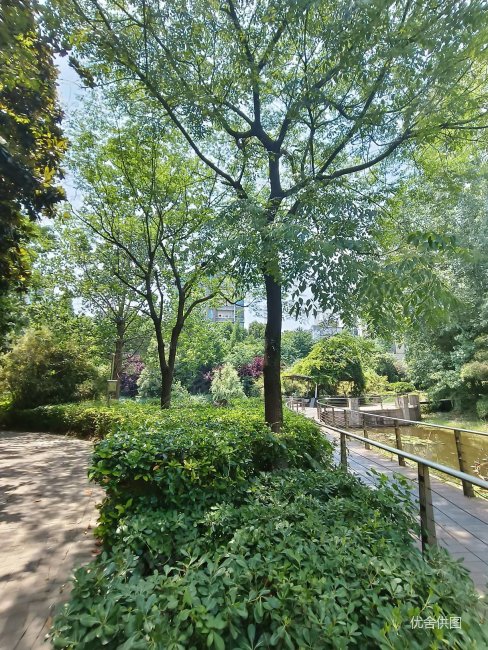 南京房产网>南京二手房>雨花台二手房>南站二手房>翠岛花城芳庭居>488