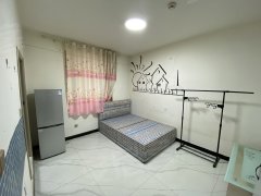 喀什喀什市喀什城区明升国际附近 单身公寓出租 一个月 900 可以 月付出租房源真实图片