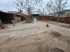 北京通州宋庄宋庄周边 俩院 可长签10年20年 改造 院内有古玩核桃树出租房源真实图片
