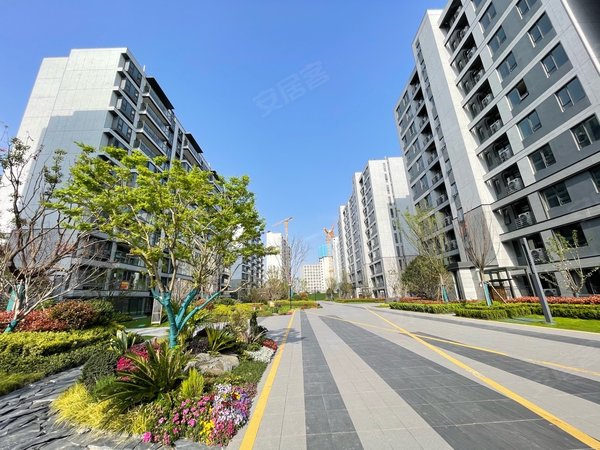 昆山玉山城东上湾璟园所看即所得,全新头一次出租,万科上湾璟园小区,3