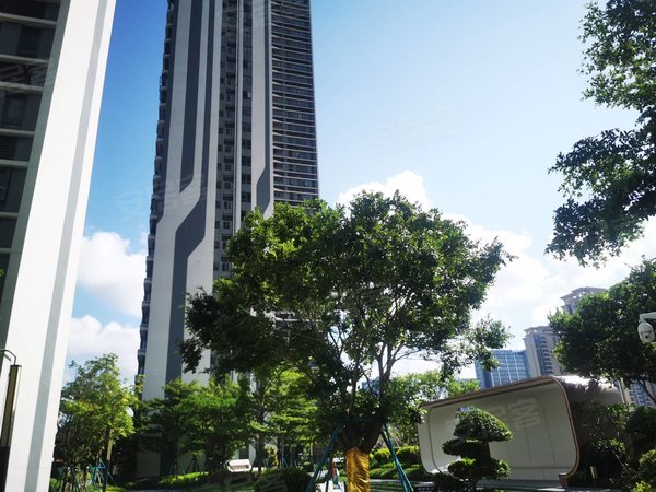 珠海高新区唐家湾中海星筑远光软件园对面,中海星筑精装三房出租出租