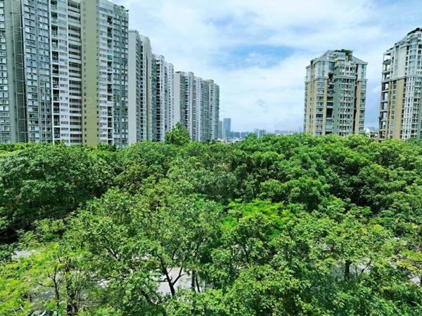 深圳福田八卦岭旭飞花园(福田)旭飞花园(福田)非常正气,楼层好采光佳