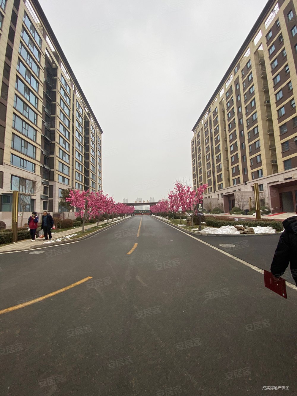 磊阳湖畔11层到顶电梯小高洋房社区户型通透环境优美