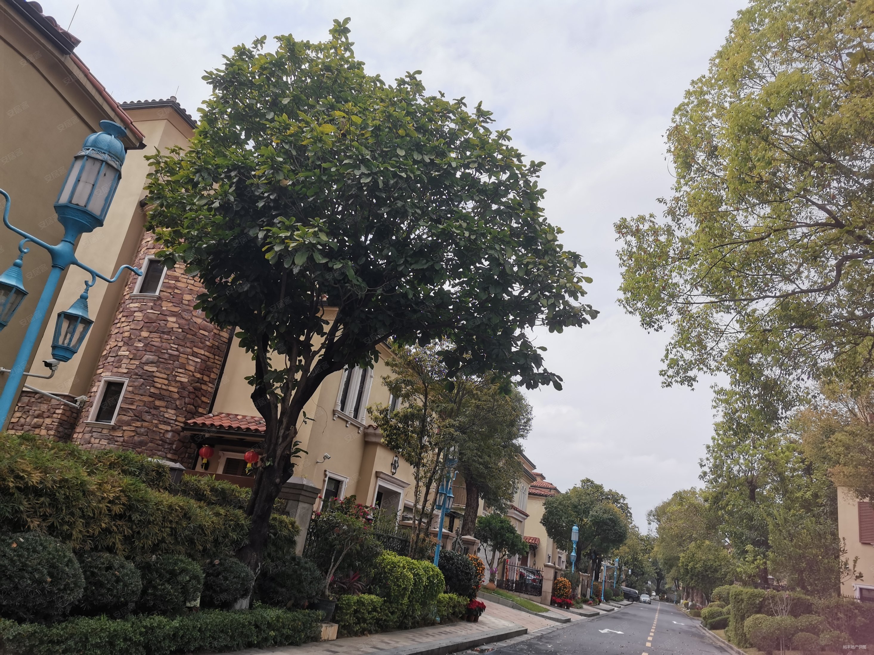 中信御园680平独栋别墅6房大花园出门就是黄旗虎英诚意售