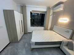 宁波镇海庄市芳辰丽阳 柳岸晨韵 植物园旁 温馨干净 包物业网络 朝南出租房源真实图片