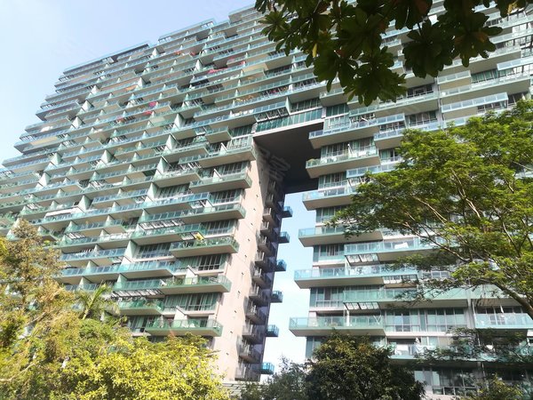 【多图】红树西岸,华侨城租房,红树西岸新出高层租房,豪装,我们有钥匙