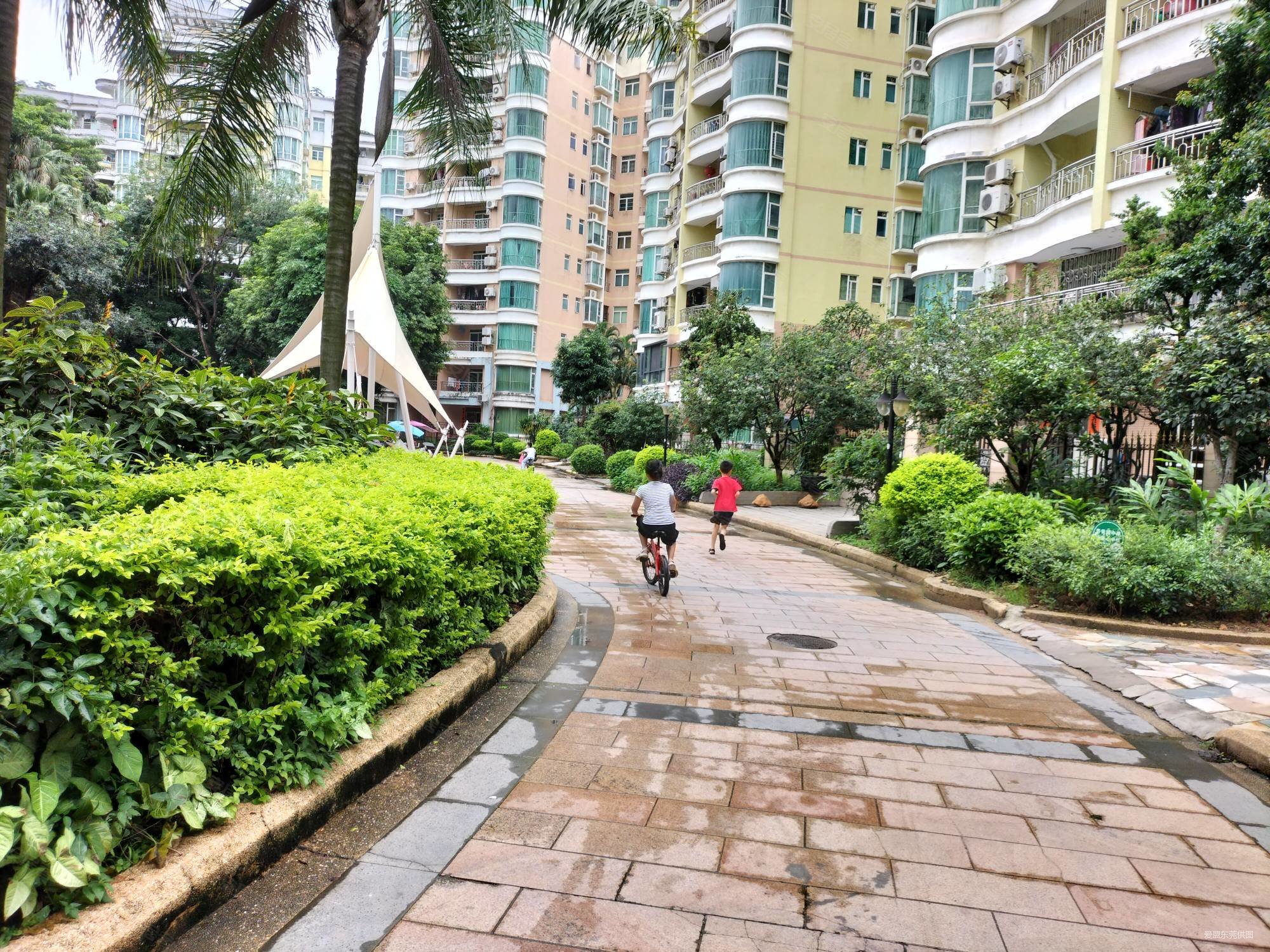 住房 诚意买房 入中心,蓝月湾二手房,152万,3室2厅,2卫,112平米-东莞