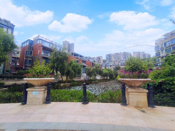 深圳龙岗平湖御峰园(别墅)御峰园联排别墅 前后双花园 上下六层出租