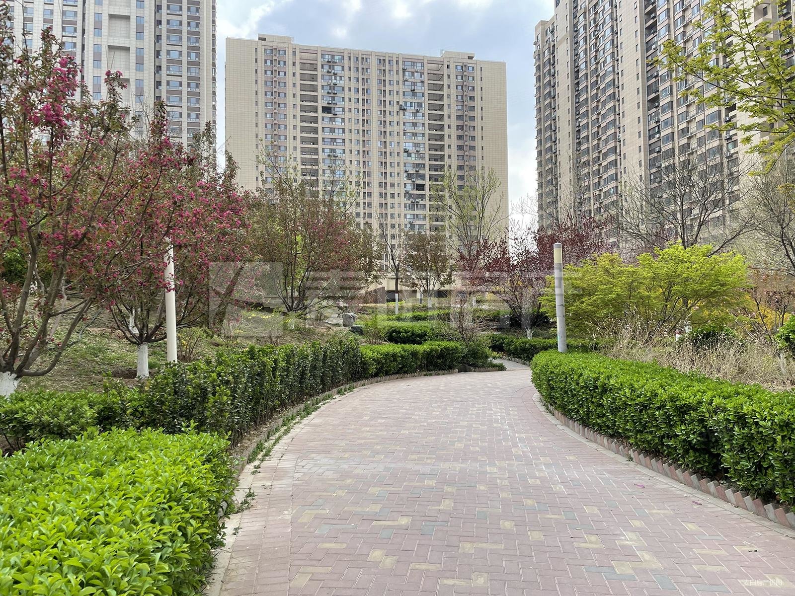 北苑奥森旁林奥嘉园方正一居高层观景看房方便