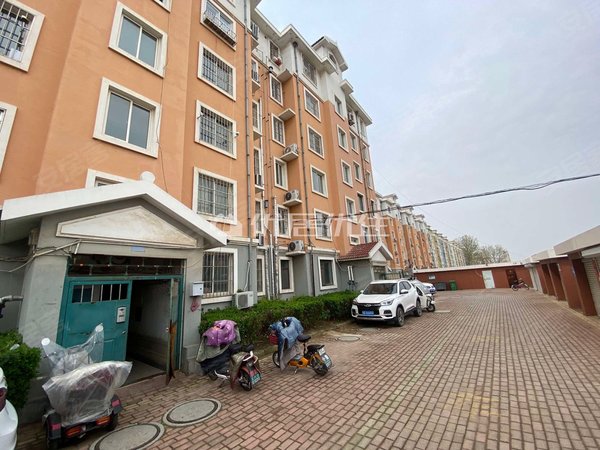 水集租房,滨河新村套二,立体空调和挂式空调都有,家里采光很好,莱西